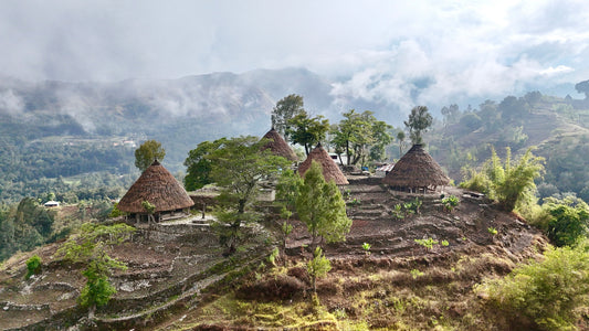 Village de Hato-Builico au Timor-Leste