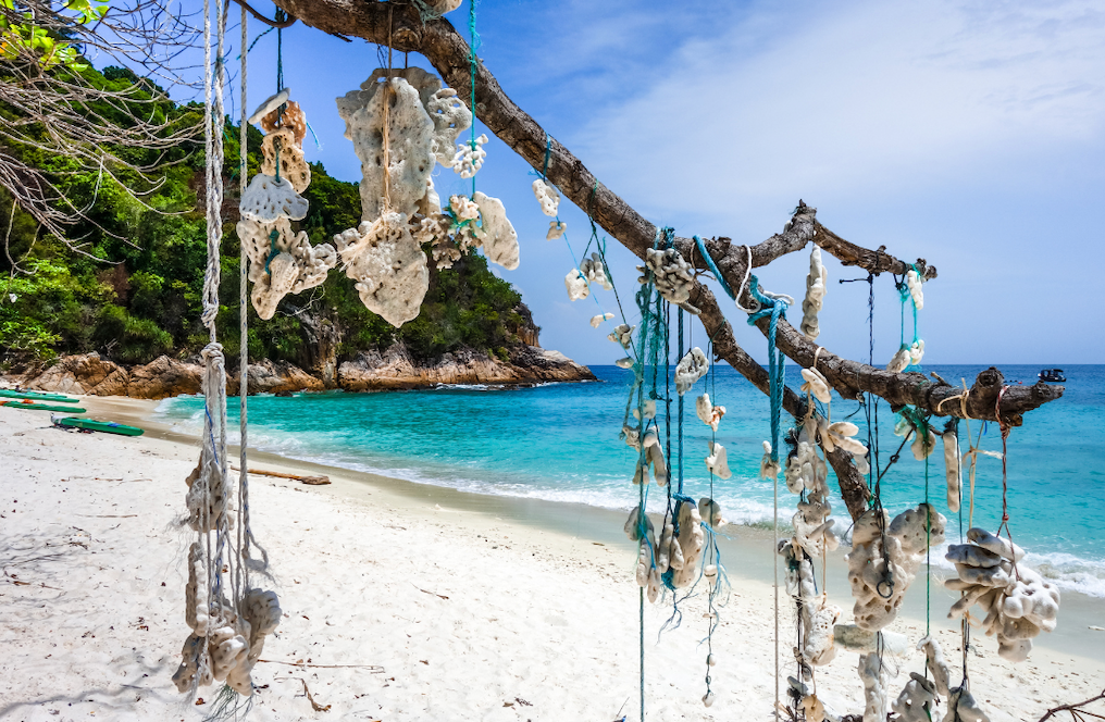Plage de Perhentian Besar avec coraux suspendus et eau turquoise