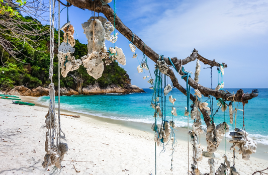 Plage de Perhentian Besar avec coraux suspendus et eau turquoise