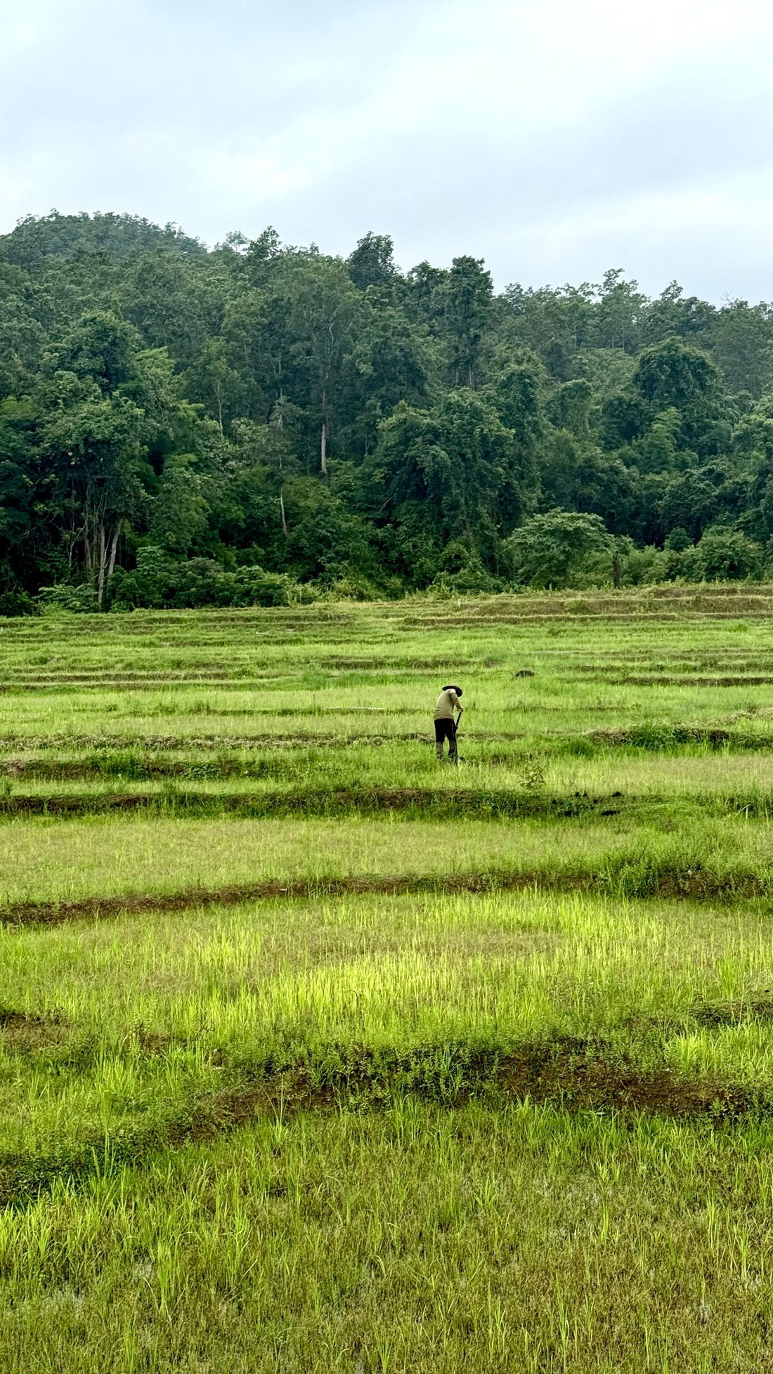 Quand partir en Thaïlande ? Météo, mousson et îles selon les saisons
